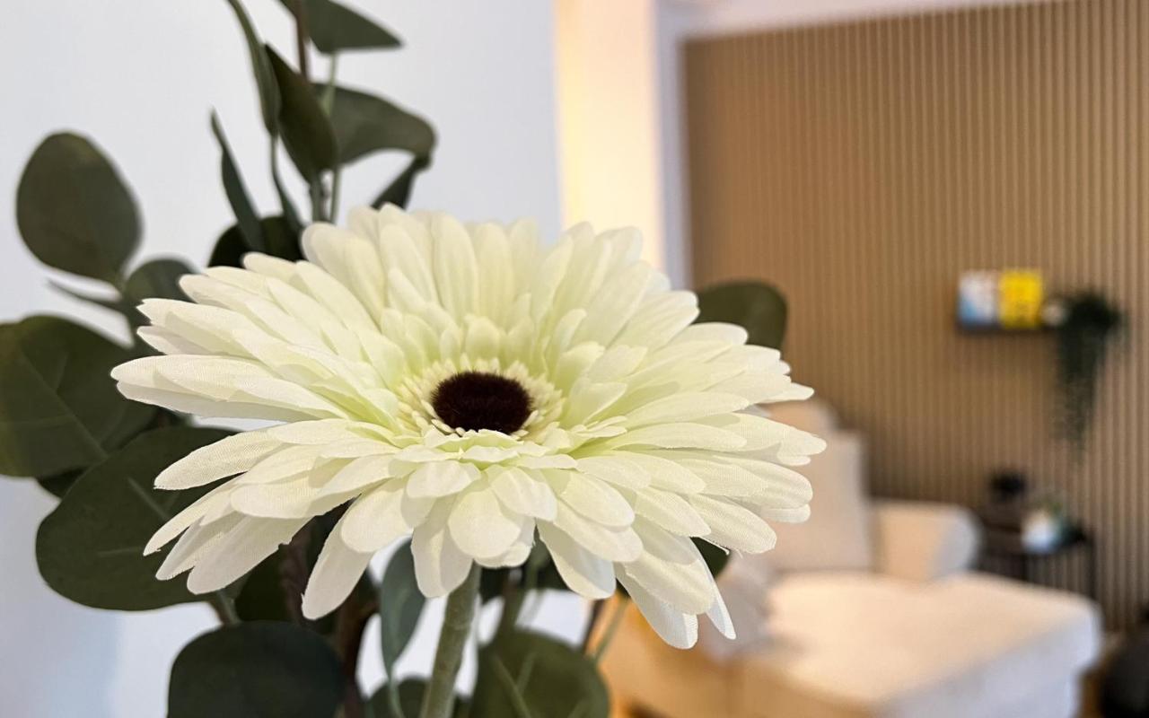 Modernes Studio Appartement Mit Leseecke 게른스바흐 외부 사진